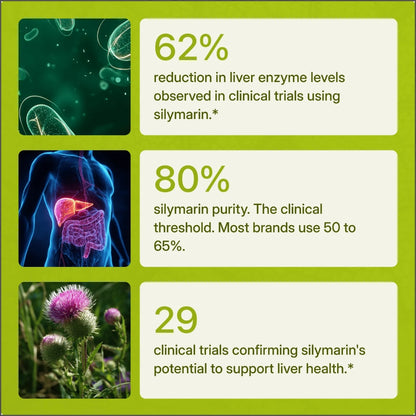 Premium Milk Thistle Capsules